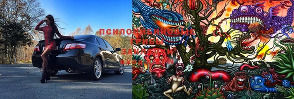 тгк Карталы